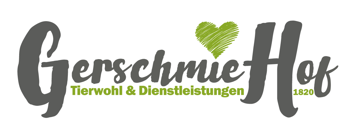 schriftzug2026-gross